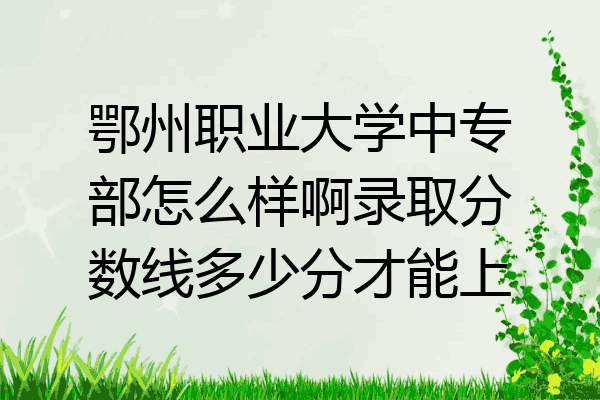 鄂州职业大学中专部怎么样啊录取分数线多少分才能上
