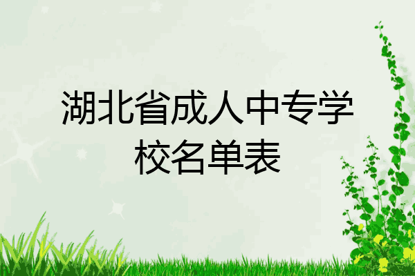 湖北省成人中专学校名单表