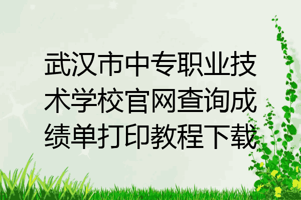武汉市中专职业技术学校官网查询成绩单打印教程下载