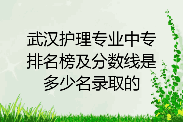 武汉护理专业中专排名榜及分数线是多少名录取的
