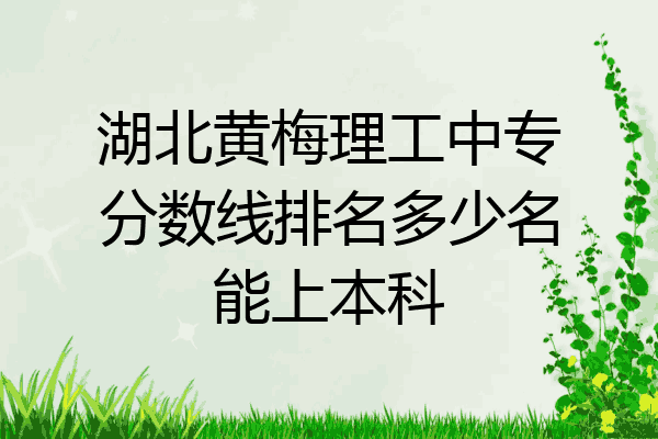 湖北黄梅理工中专分数线排名多少名能上本科