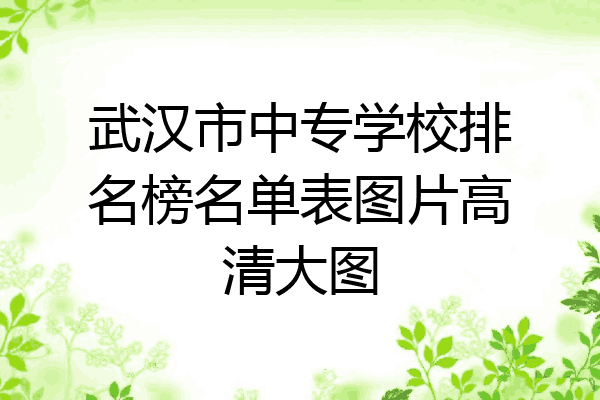 武汉市中专学校排名榜名单表图片高清大图