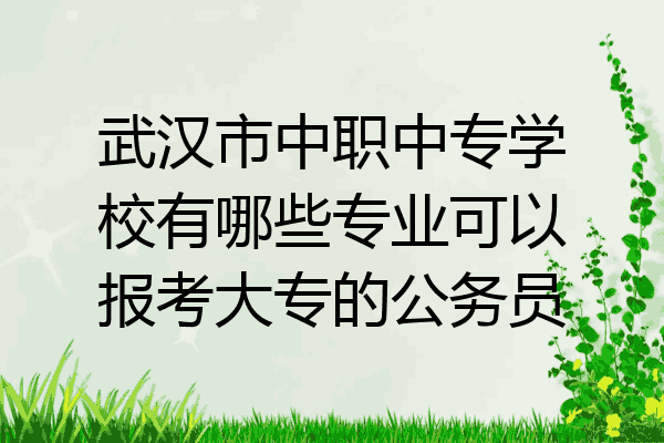 武汉市中职中专学校有哪些专业可以报考大专的公务员
