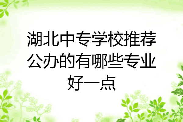 湖北中专学校推荐公办的有哪些专业好一点