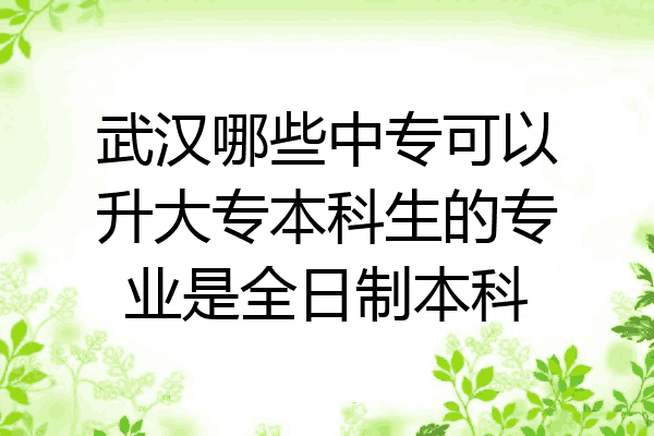 武汉哪些中专可以升大专本科生的专业是全日制本科