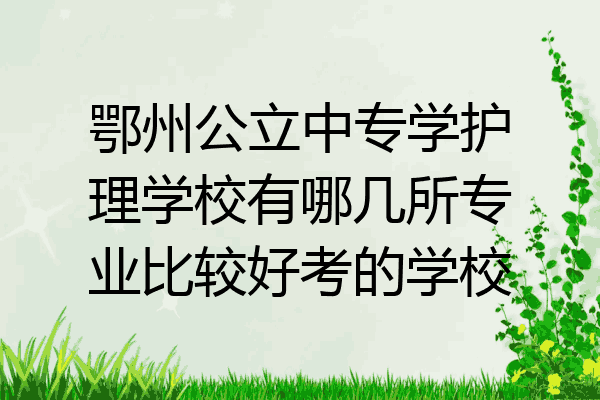 鄂州公立中专学护理学校有哪几所专业比较好考的学校