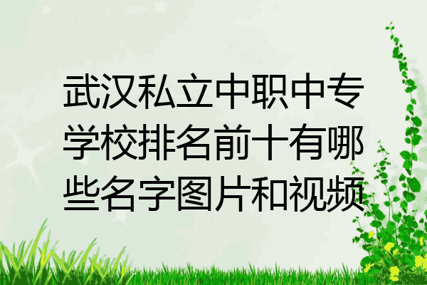 武汉私立中职中专学校排名前十有哪些名字图片和视频