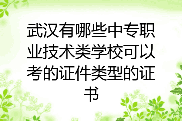 武汉有哪些中专职业技术类学校可以考的证件类型的证书