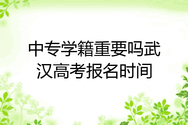 中专学籍重要吗武汉高考报名时间