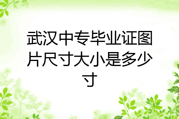 武汉中专毕业证图片尺寸大小是多少寸