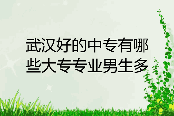 武汉好的中专有哪些大专专业男生多