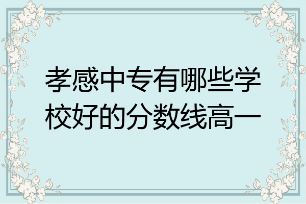 孝感中专有哪些学校好的分数线高一