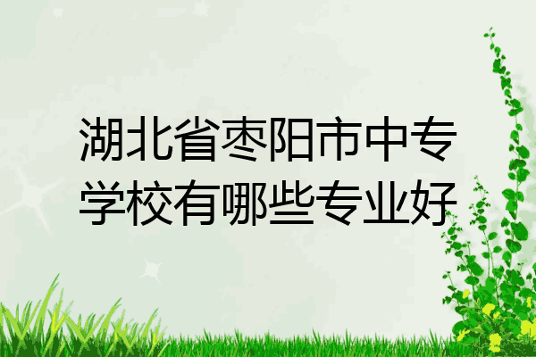 湖北省枣阳市中专学校有哪些专业好