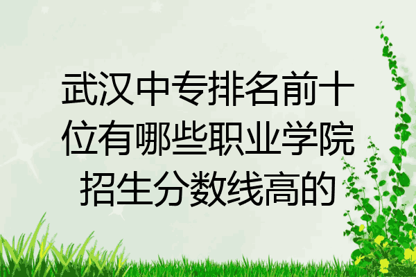 武汉中专排名前十位有哪些职业学院招生分数线高的
