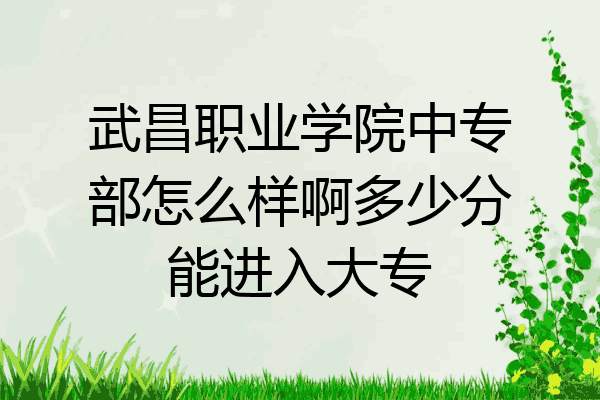 武昌职业学院中专部怎么样啊多少分能进入大专