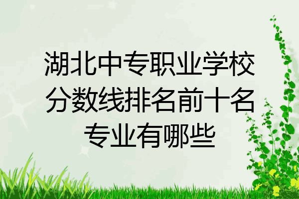 湖北中专职业学校分数线排名前十名专业有哪些
