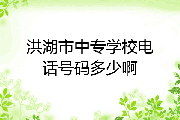 洪湖市中专学校电话号码多少啊