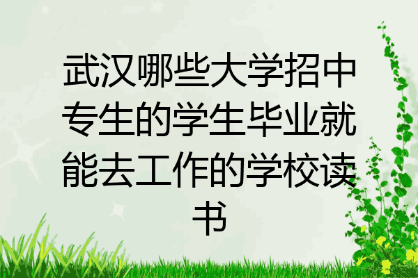 武汉哪些大学招中专生的学生毕业就能去工作的学校读书