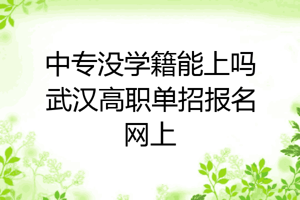 中专没学籍能上吗武汉高职单招报名网上