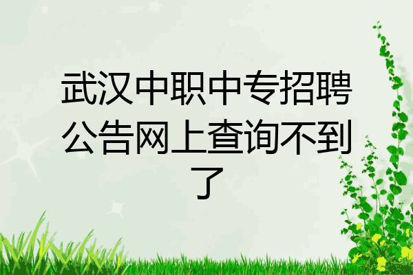 武汉中职中专招聘公告网上查询不到了