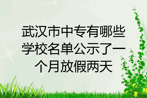 武汉市中专有哪些学校名单公示了一个月放假两天