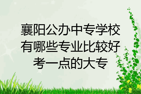 襄阳公办中专学校有哪些专业比较好考一点的大专
