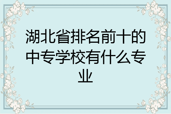 湖北省排名前十的中专学校有什么专业