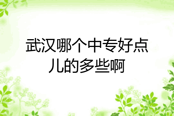 武汉哪个中专好点儿的多些啊