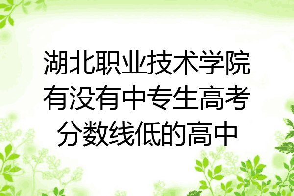 湖北职业技术学院有没有中专生高考分数线低的高中