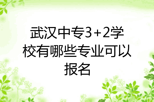 武汉中专3+2学校有哪些专业可以报名