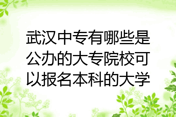 武汉中专有哪些是公办的大专院校可以报名本科的大学