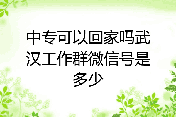 中专可以回家吗武汉工作群微信号是多少