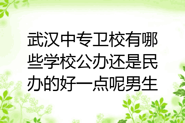 武汉中专卫校有哪些学校公办还是民办的好一点呢男生