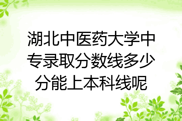 湖北中医药大学中专录取分数线多少分能上本科线呢