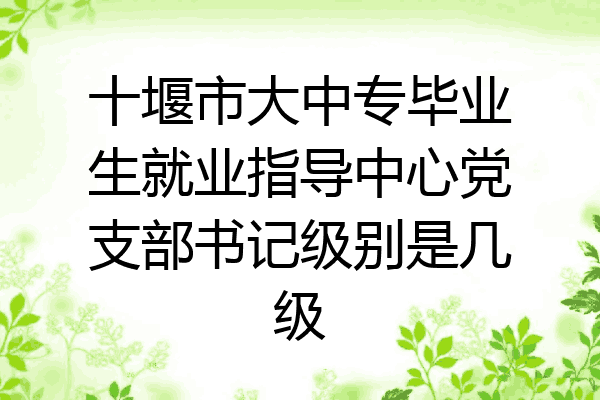 十堰市大中专毕业生就业指导中心党支部书记级别是几级