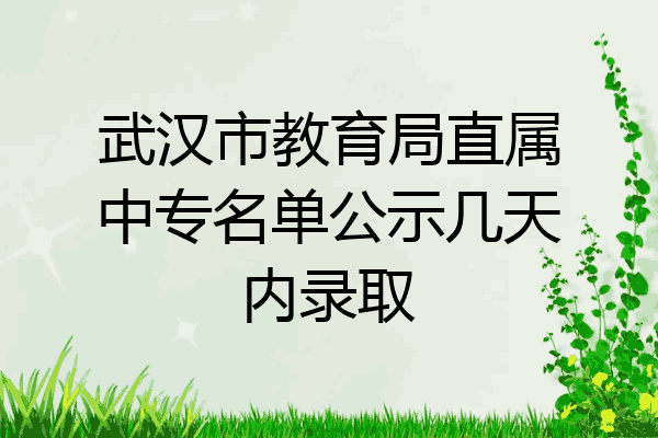 武汉市教育局直属中专名单公示几天内录取