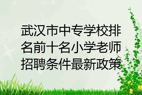武汉市中专学校排名前十名小学老师招聘条件最新政策