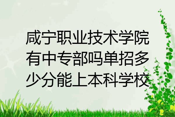 咸宁职业技术学院有中专部吗单招多少分能上本科学校