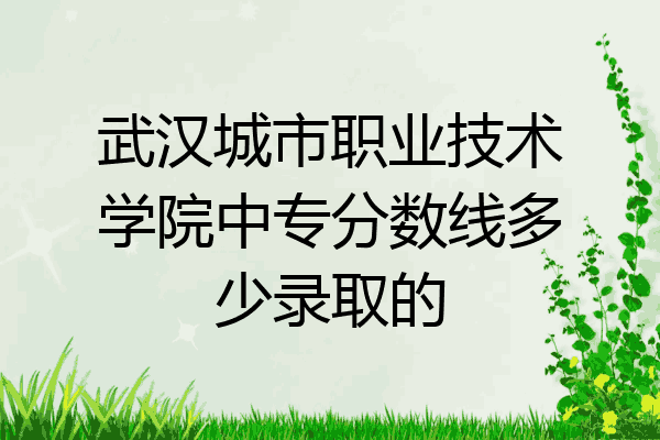武汉城市职业技术学院中专分数线多少录取的