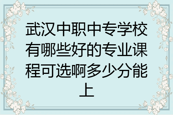 武汉中职中专学校有哪些好的专业课程可选啊多少分能上