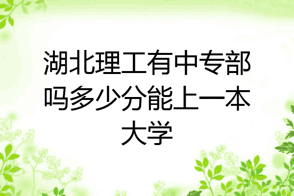 湖北理工有中专部吗多少分能上一本大学