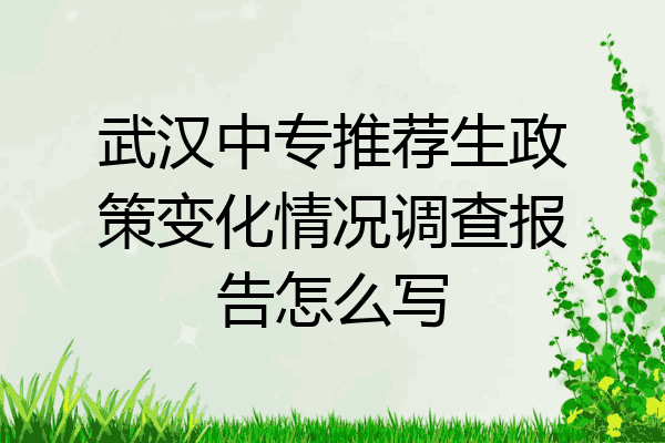 武汉中专推荐生政策变化情况调查报告怎么写