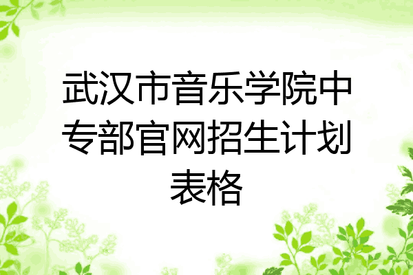 武汉市音乐学院中专部官网招生计划表格
