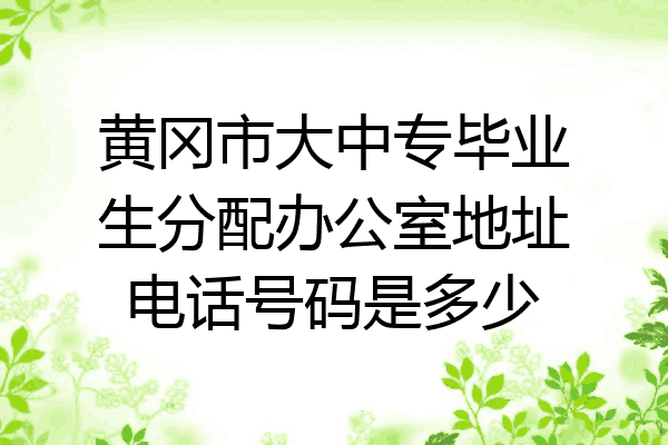 黄冈市大中专毕业生分配办公室地址电话号码是多少