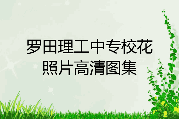 罗田理工中专校花照片高清图集