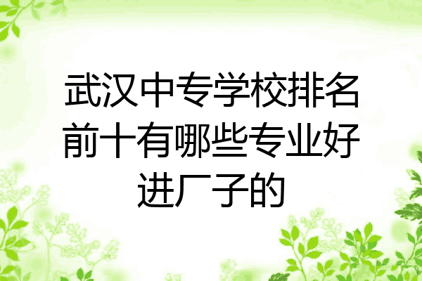 武汉中专学校排名前十有哪些专业好进厂子的
