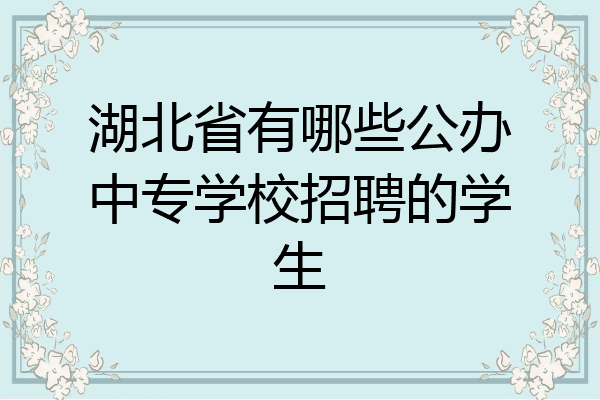 湖北省有哪些公办中专学校招聘的学生