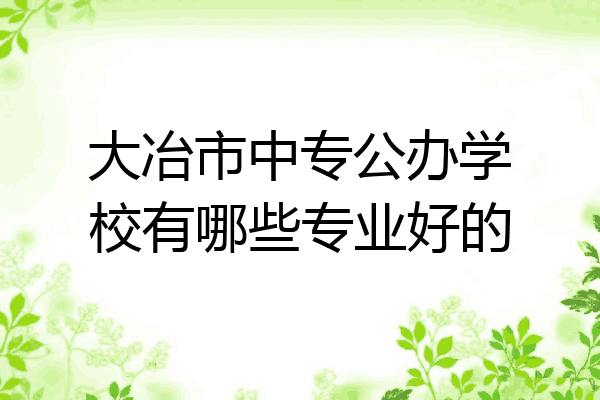 大冶市中专公办学校有哪些专业好的