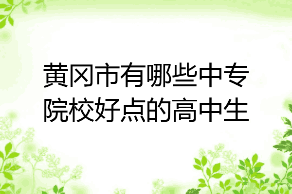 黄冈市有哪些中专院校好点的高中生