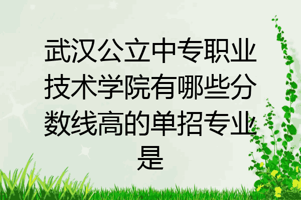 武汉公立中专职业技术学院有哪些分数线高的单招专业是